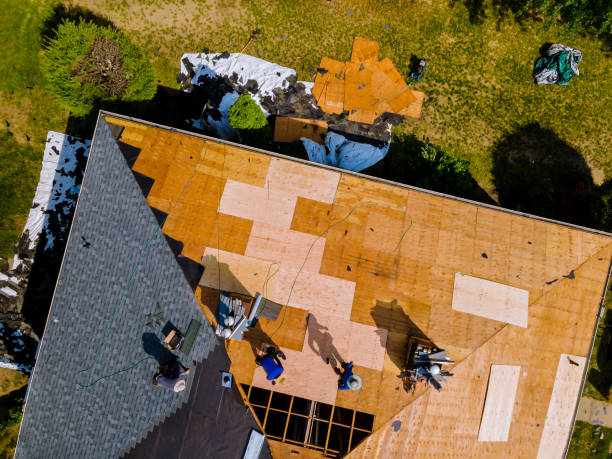 Best Best Roofing Contractors  in Genoa, IL