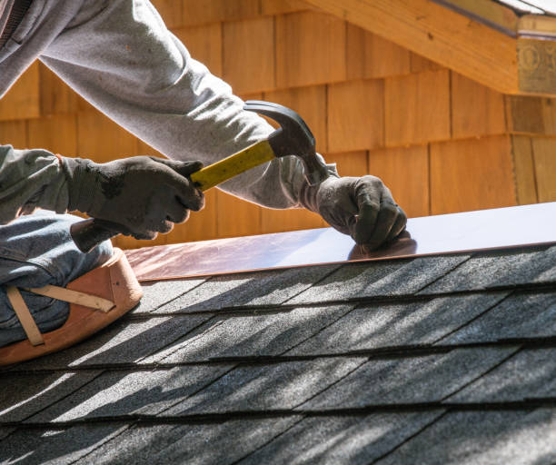 Best Roofing Contractors for Homes  in Genoa, IL